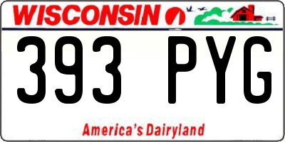 WI license plate 393PYG