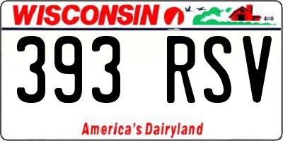 WI license plate 393RSV