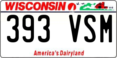 WI license plate 393VSM