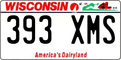 WI license plate 393XMS