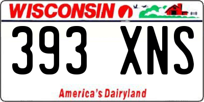 WI license plate 393XNS
