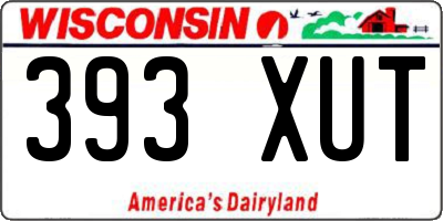 WI license plate 393XUT