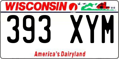 WI license plate 393XYM