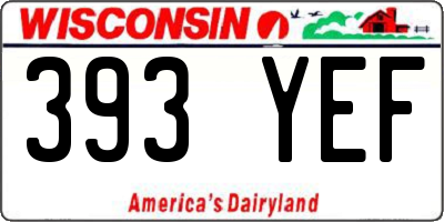 WI license plate 393YEF