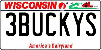 WI license plate 3BUCKYS