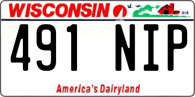 WI license plate 491NIP