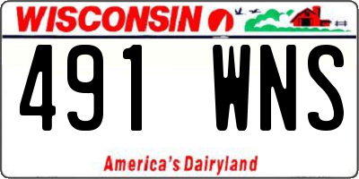 WI license plate 491WNS