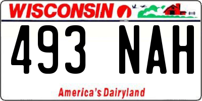 WI license plate 493NAH