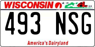 WI license plate 493NSG