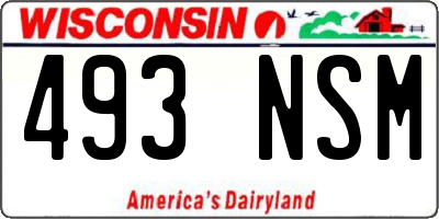 WI license plate 493NSM