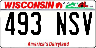 WI license plate 493NSV