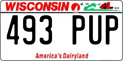 WI license plate 493PUP