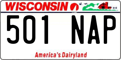 WI license plate 501NAP
