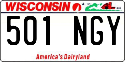 WI license plate 501NGY