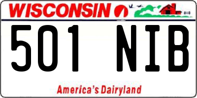 WI license plate 501NIB