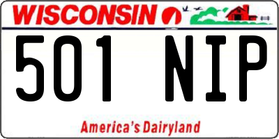 WI license plate 501NIP