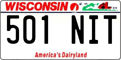 WI license plate 501NIT