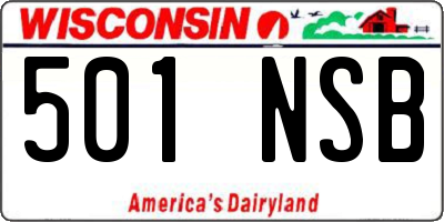 WI license plate 501NSB