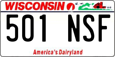 WI license plate 501NSF