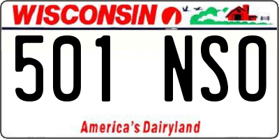 WI license plate 501NSO