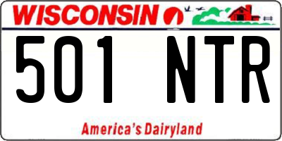 WI license plate 501NTR
