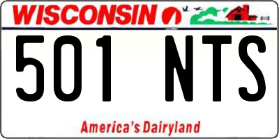 WI license plate 501NTS
