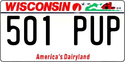 WI license plate 501PUP