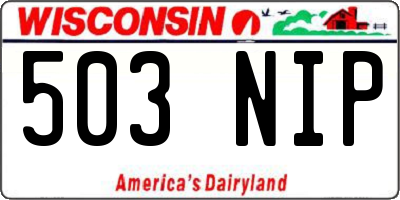 WI license plate 503NIP