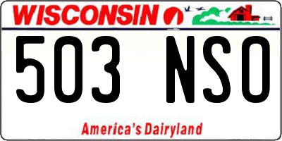 WI license plate 503NSO