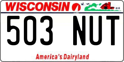 WI license plate 503NUT