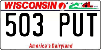 WI license plate 503PUT