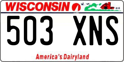 WI license plate 503XNS