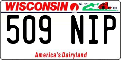 WI license plate 509NIP