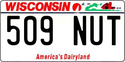 WI license plate 509NUT