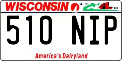 WI license plate 510NIP