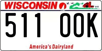 WI license plate 511OOK
