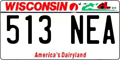 WI license plate 513NEA