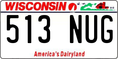 WI license plate 513NUG