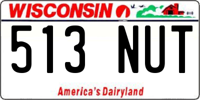 WI license plate 513NUT