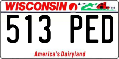 WI license plate 513PED