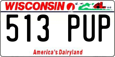 WI license plate 513PUP
