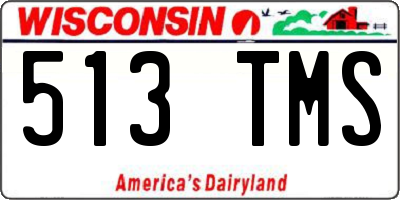 WI license plate 513TMS