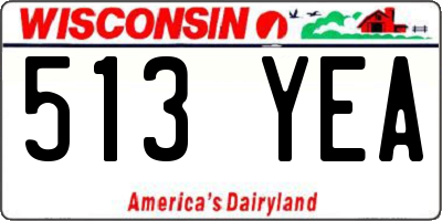 WI license plate 513YEA