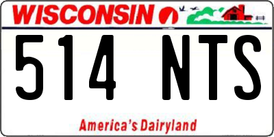 WI license plate 514NTS