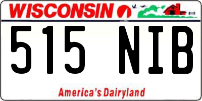 WI license plate 515NIB