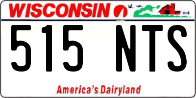 WI license plate 515NTS