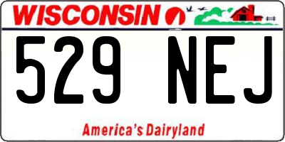 WI license plate 529NEJ