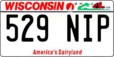 WI license plate 529NIP