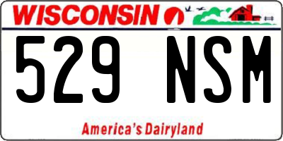 WI license plate 529NSM