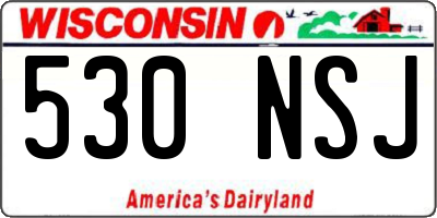 WI license plate 530NSJ